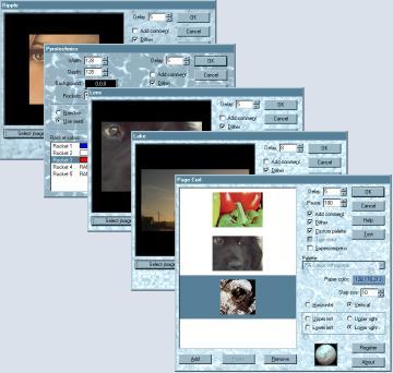 AMI GIF Elements 1 Screenshot